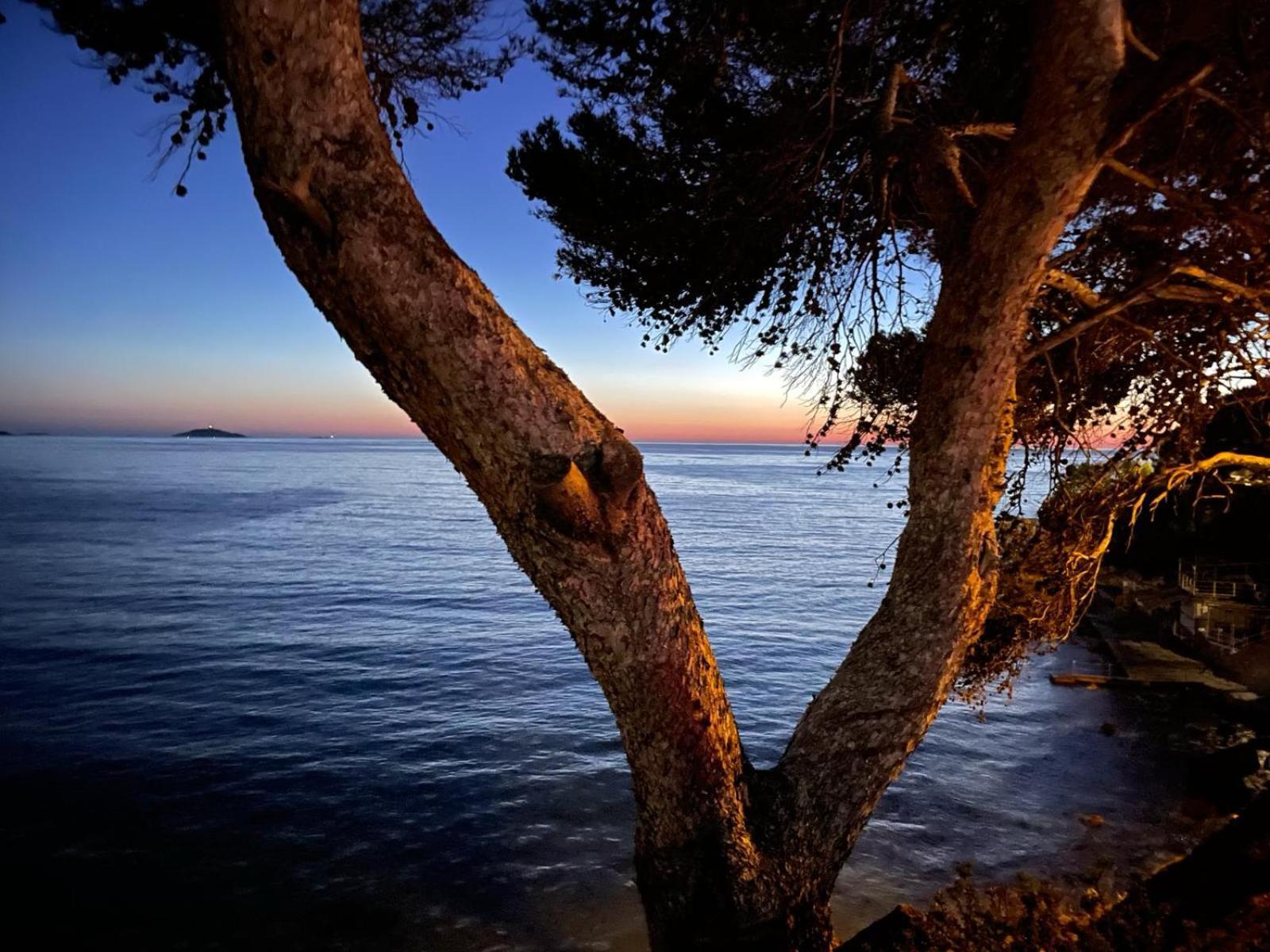 Vacances Bord De Mer - Appartement Sanary Sur Mer Exterior foto